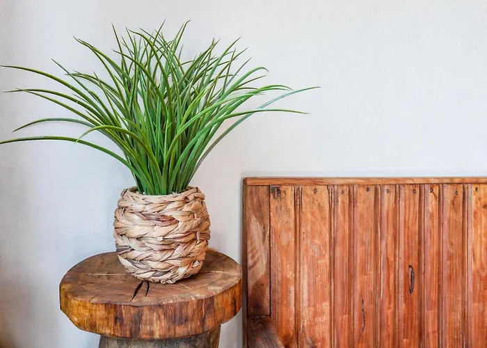 Semesterbostad Casas Vale Do Laboreiro